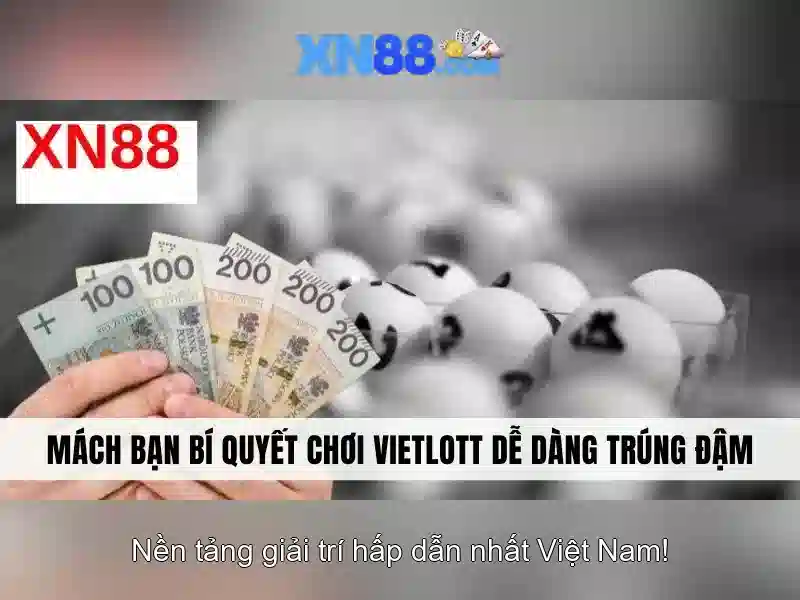 Kết luận và tương lai của XN88