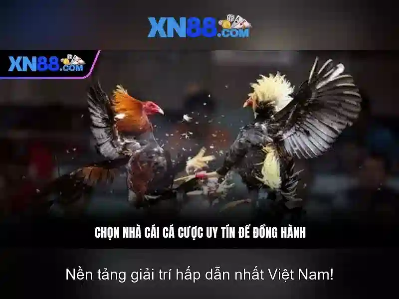 Tại sao chọn xn88?