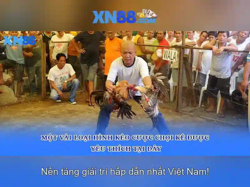 Mẹo chơi bắn cá 3 cây dễ ăn tiền nhà cái