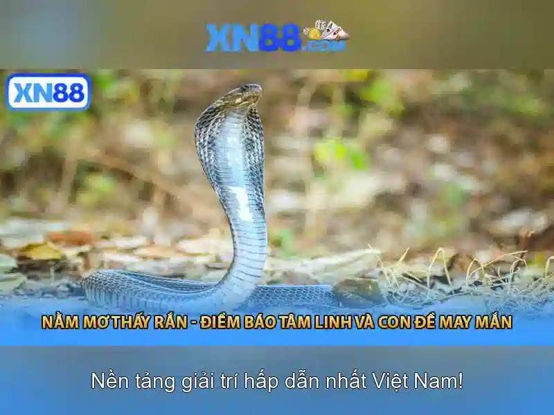 xn88 sa – Khám phá thương hiệu và trải nghiệm xn88 sa toàn diện