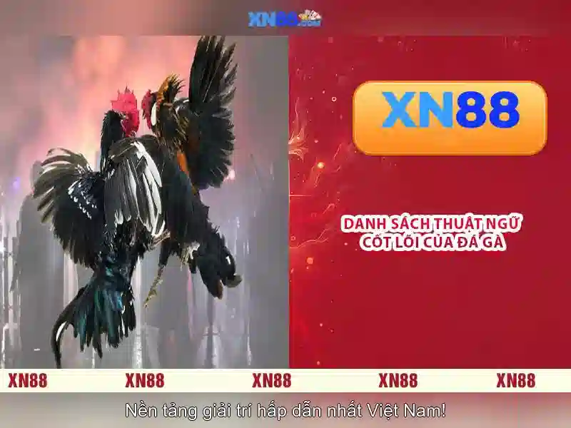 xn88: Nền tảng cược trực tuyến uy tín và an toàn