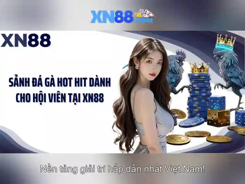Khuyến mãi và tối ưu trải nghiệm