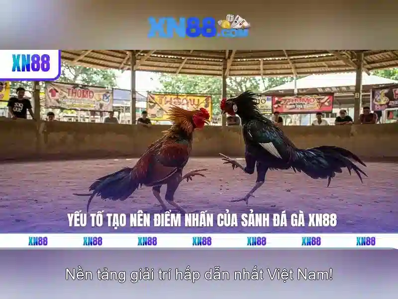 Lịch sử và nguồn gốc của xn88