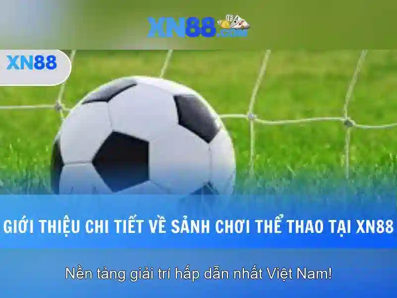 Các tính năng nổi bật