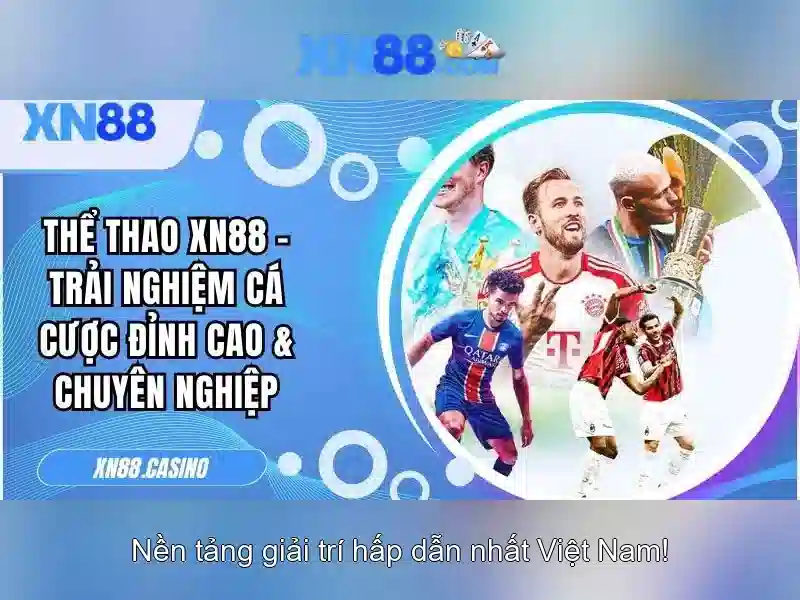 Các tính năng nổi bật
