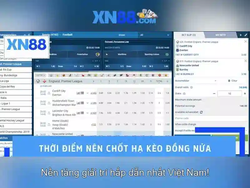 xn88 là gì?