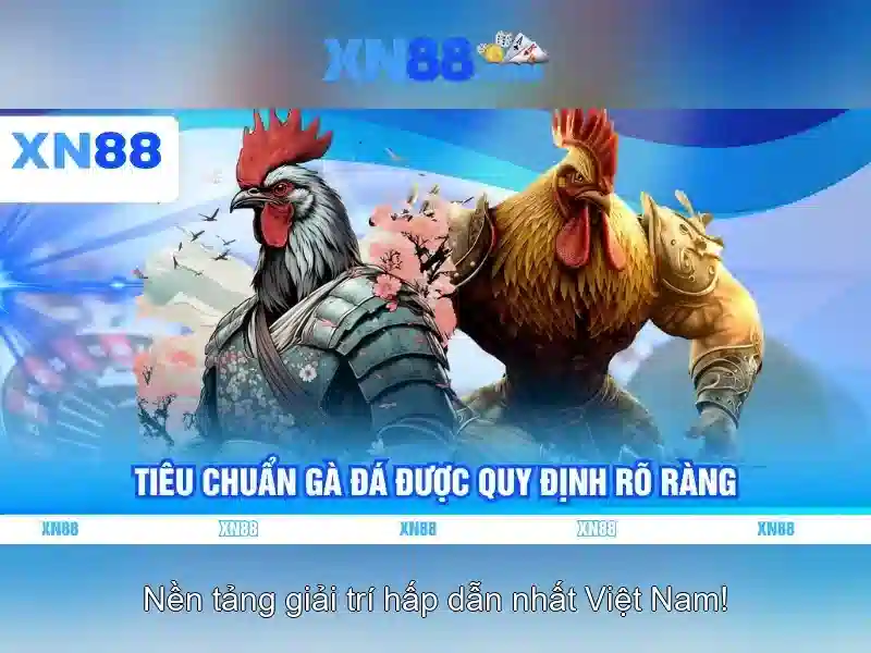 Tính năng nổi bật\n\n