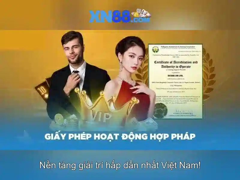 Các trò chơi và trải nghiệm