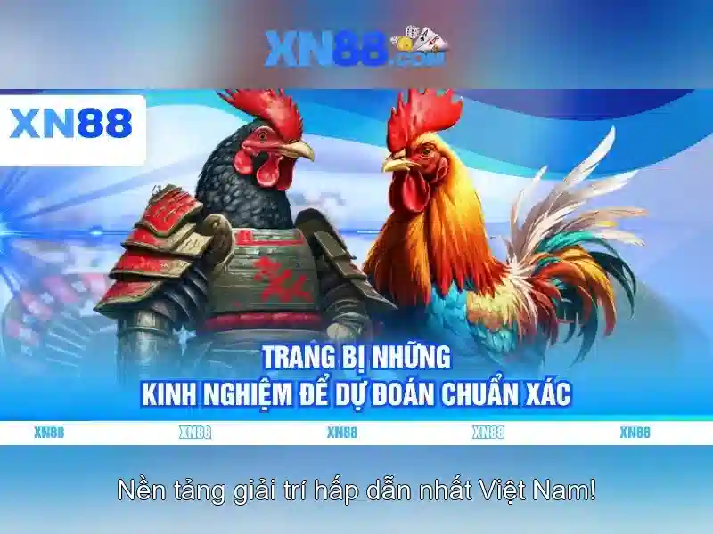 xn88: Nền tảng cược trực tuyến nổi bật