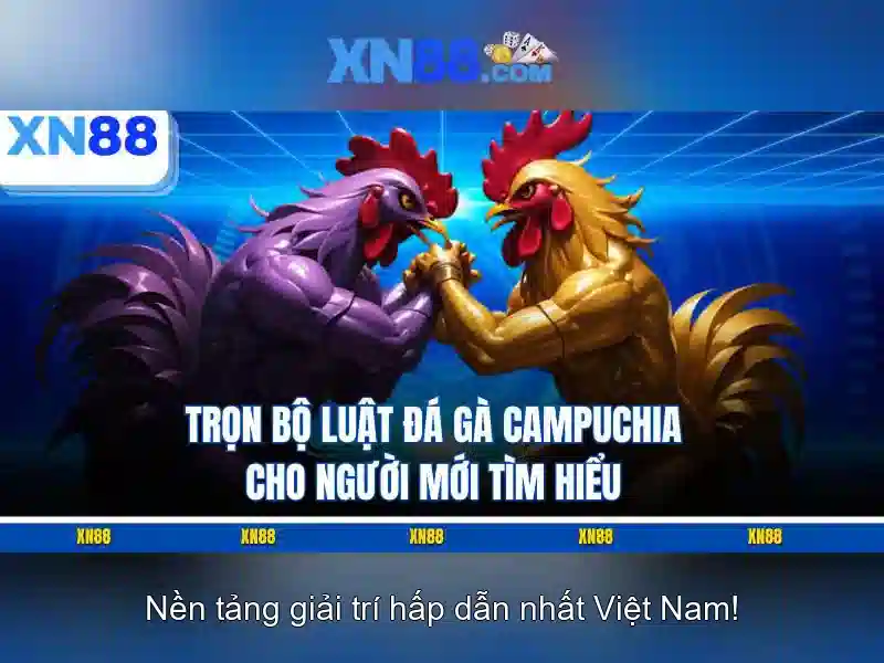 XN88 - Tổng quan về nền tảng cá cược trực tuyến