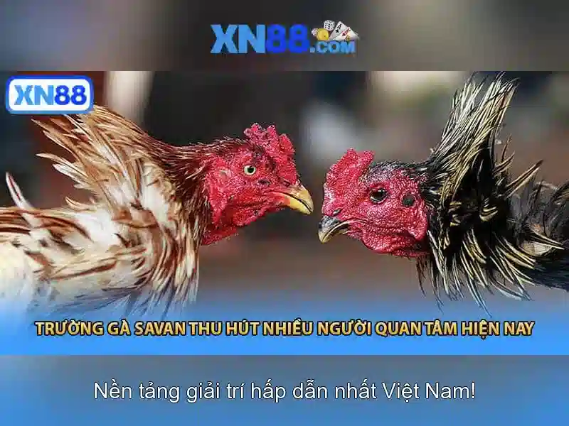 xn88: nền tảng trò chơi trực tuyến