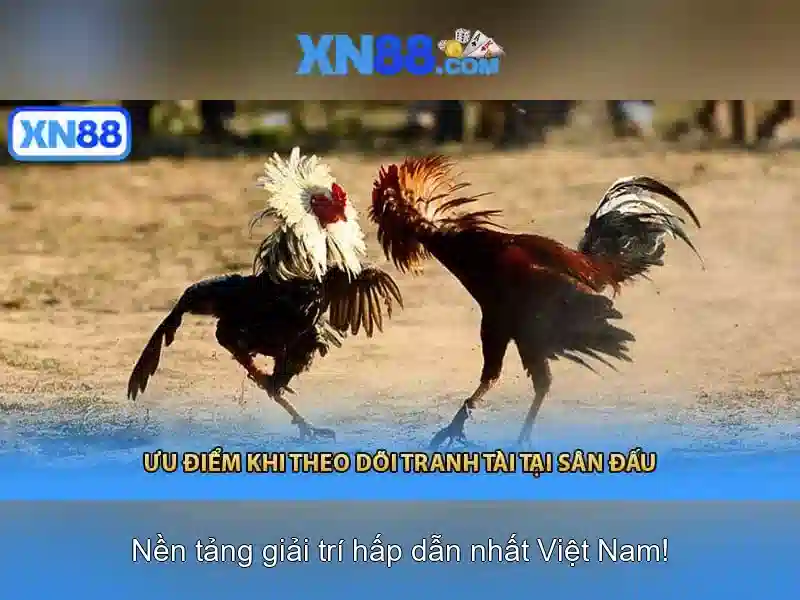 Mẹo chơi bắn cá 3 cây dễ ăn tiền nhà cái