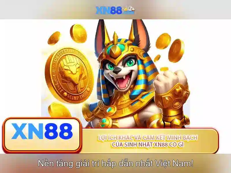 xn88: Khái niệm, dịch vụ và lưu ý an toàn
