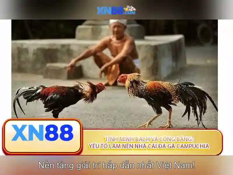 xn88: Cổng cá cược trực tuyến và những điều cần biết
