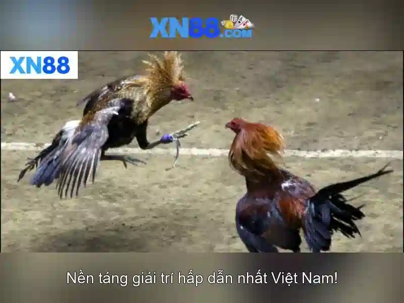 Mẹo chơi bắn cá 3 cây dễ ăn tiền nhà cái