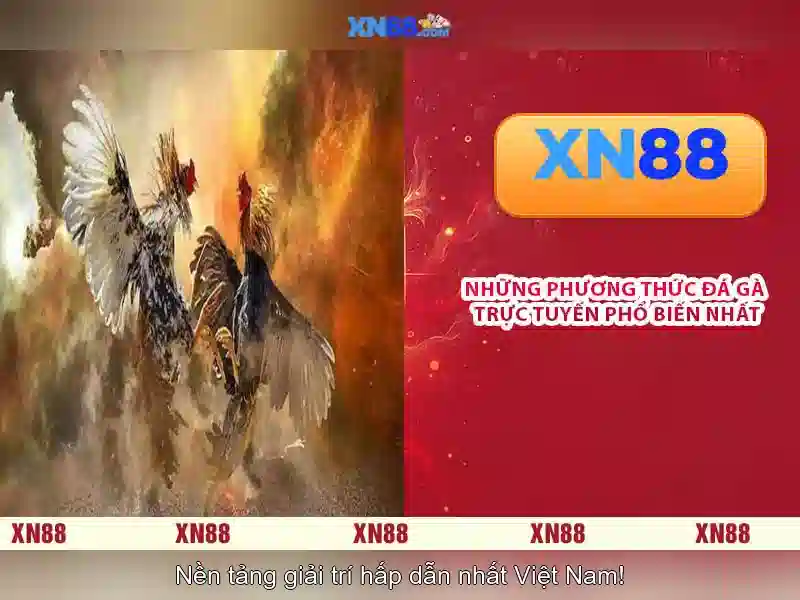 xn88 là gì?