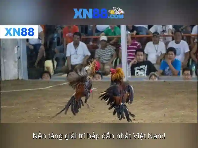 Các trò chơi và công cụ\n\n