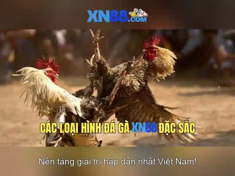 Mẹo chơi bắn cá 3 cây dễ ăn tiền nhà cái