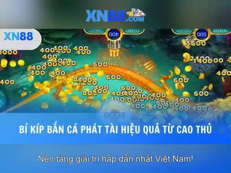 An toàn và bảo mật\n