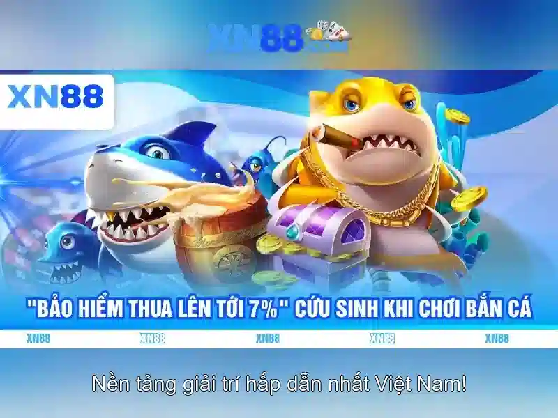 Xn88: Tổng quan và các khía cạnh chính