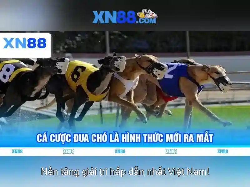 Lịch sử và vị thế thị trường