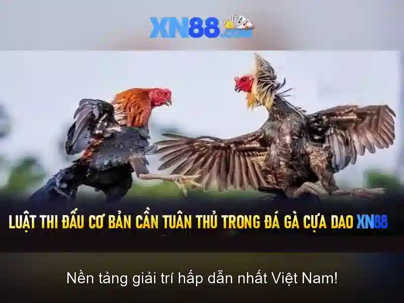xn88: Nền tảng giải trí và thông tin công nghệ