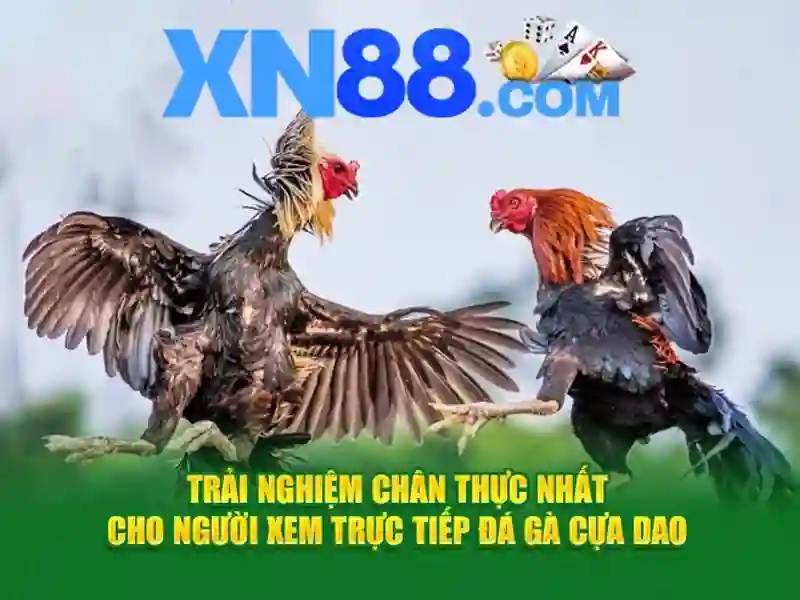 xn88 – Tóm lược chủ đề và giá trị cốt lõi