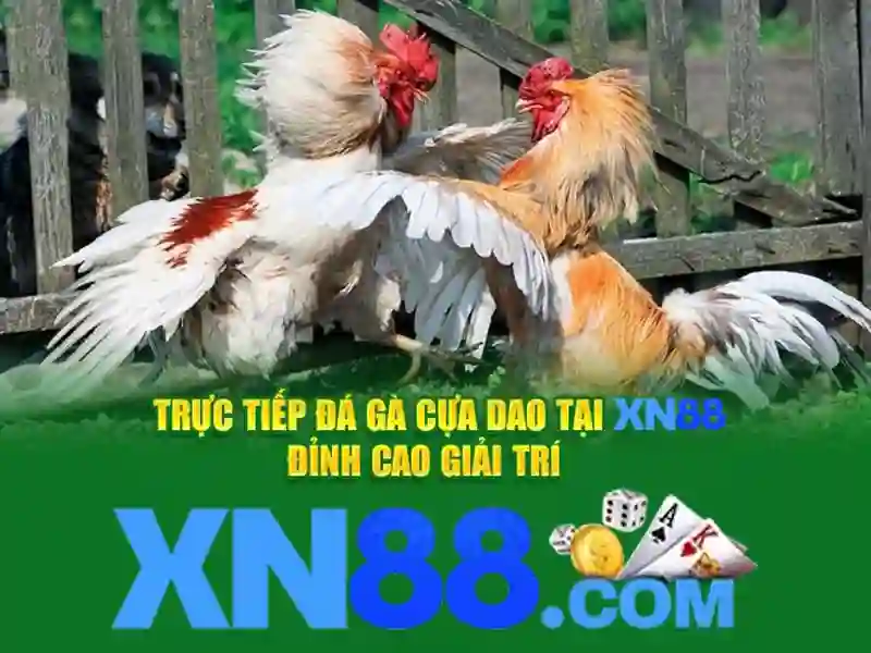 xn88 – Tổng quan, xn88 store và trải nghiệm tại xn88 official