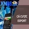 xn88 slot login - Trải nghiệm tối ưu và an toàn